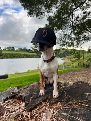 Embroidered caps